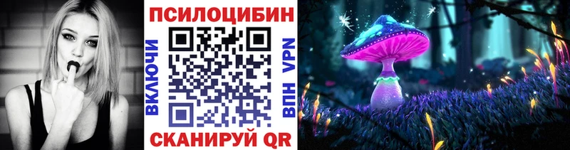 маркетплейс наркотические препараты  где купить наркоту  Канск  Псилоцибиновые грибы мицелий 